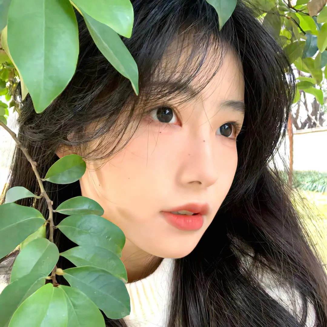 强扭的瓜 封面